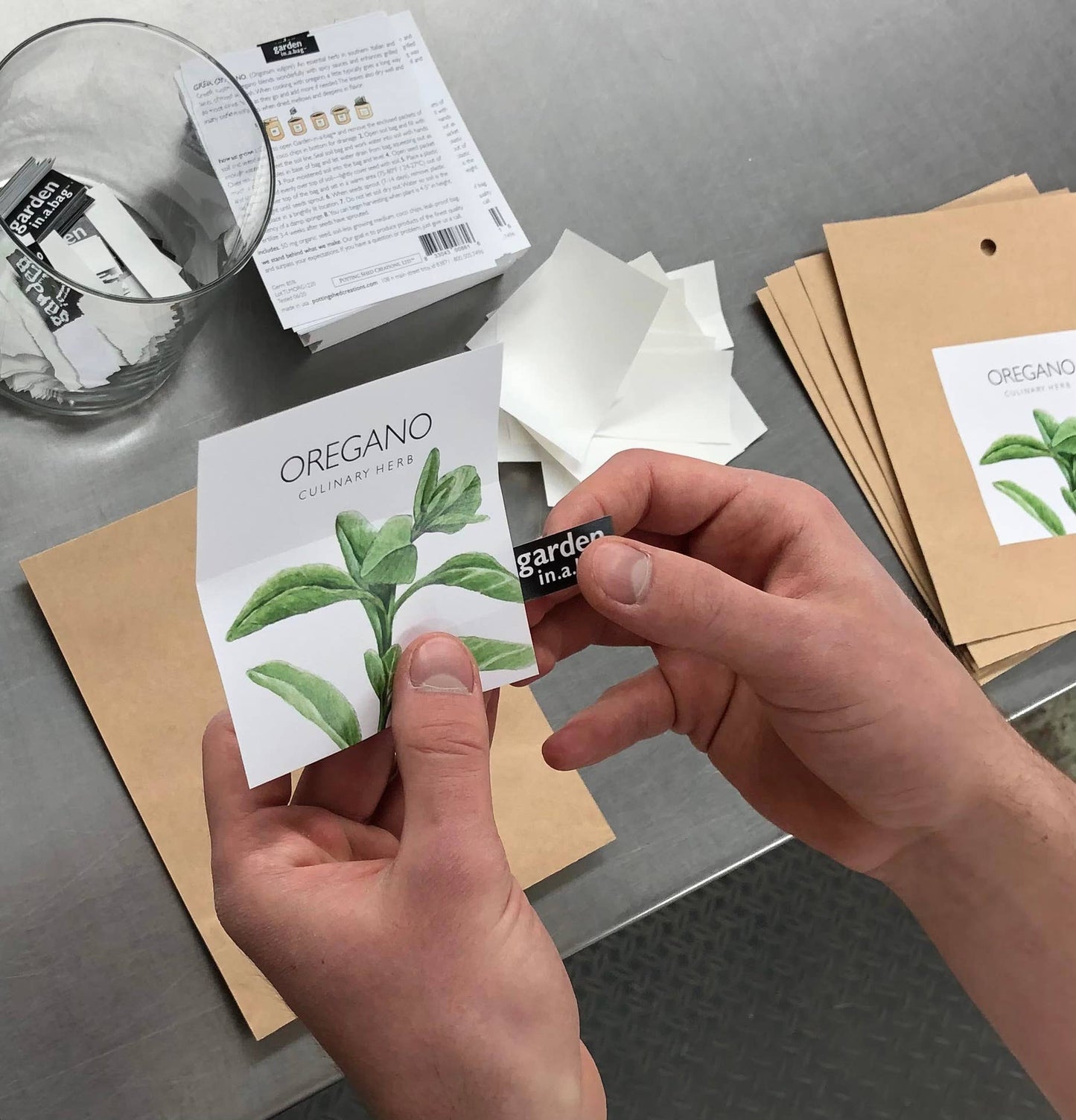 Basil Garden in a Bag