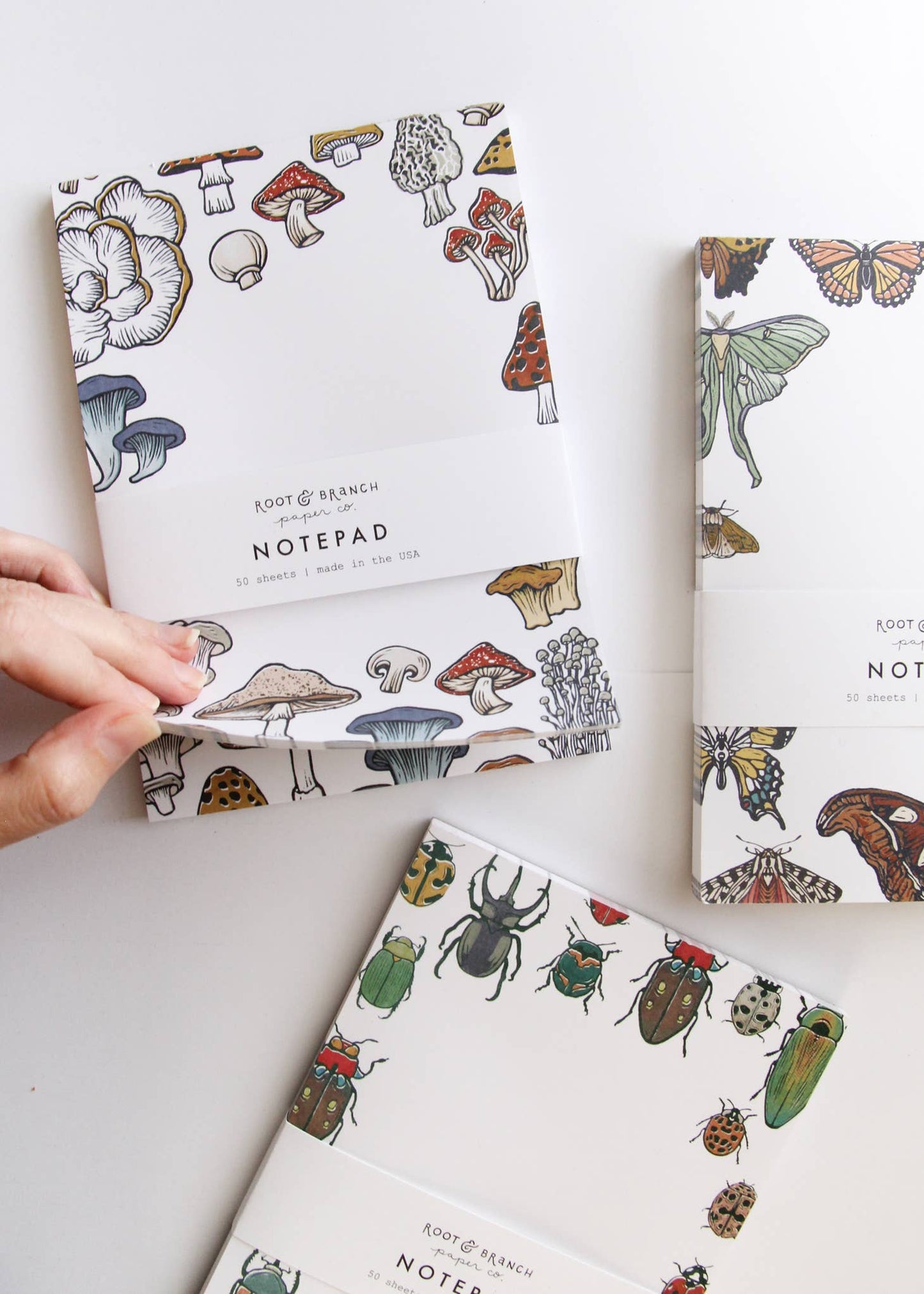 Butterfly + Moth Notepad - Root & Branch Paper Co.