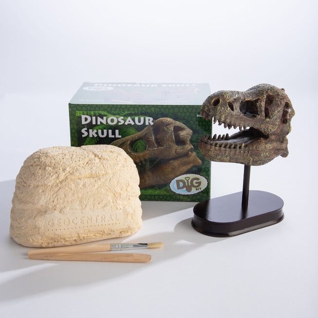 Dinosaur Skull Excavation Kit