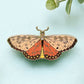 Tawny Coster Butterfly Enamel Pin