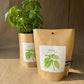 Basil Garden in a Bag