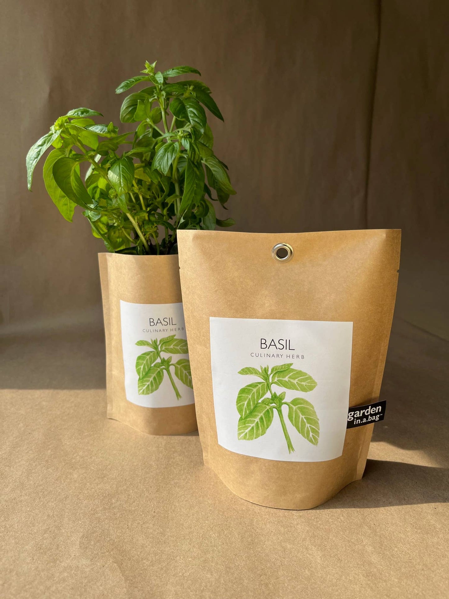Basil Garden in a Bag