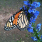 Monarch  Milkweed Garden Sprinkles