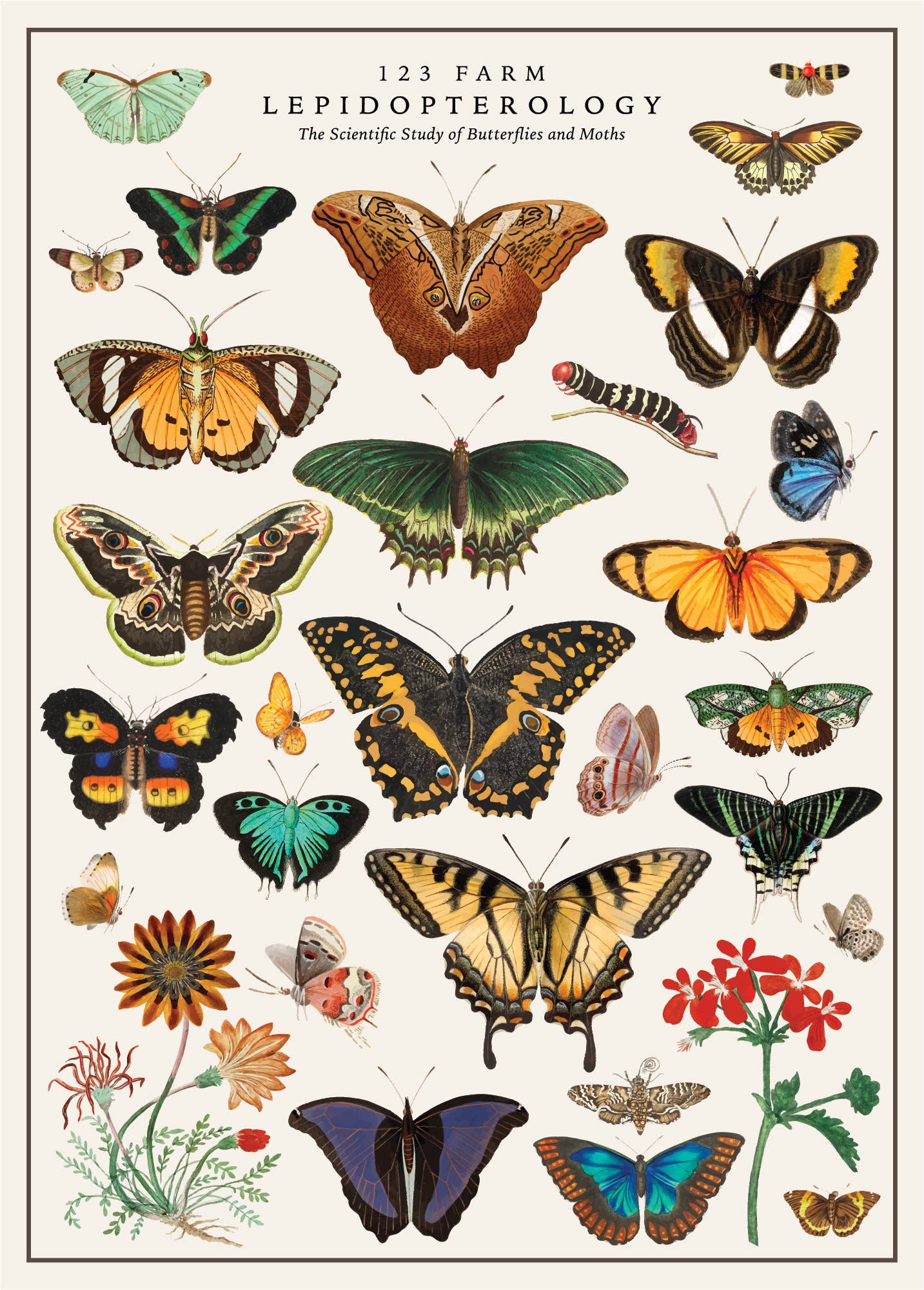 Bugs 'n Beauties Vintage Poster