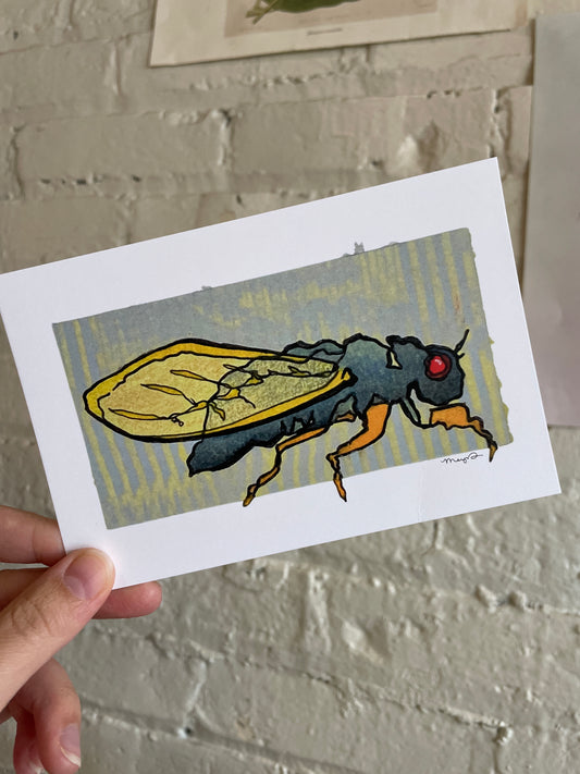 "Brood XIX" Cicada Art Print - Megan Davies Art