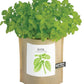 Basil Garden in a Bag