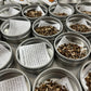 Butterfly Habitat Flower Seed Tin