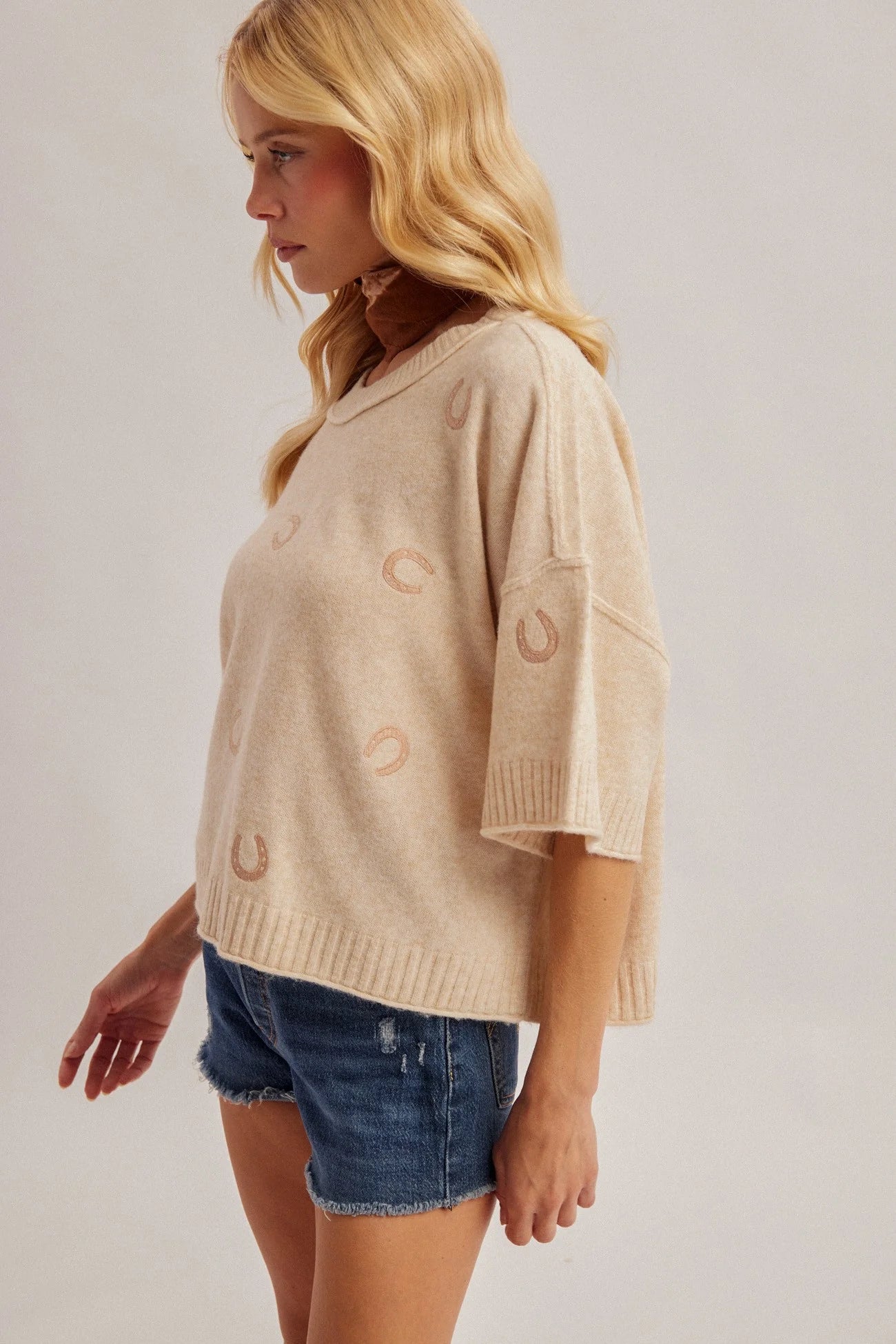 Horse Shoe Embroidered Sweater