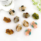 Owl-fully Cute Hair Clips