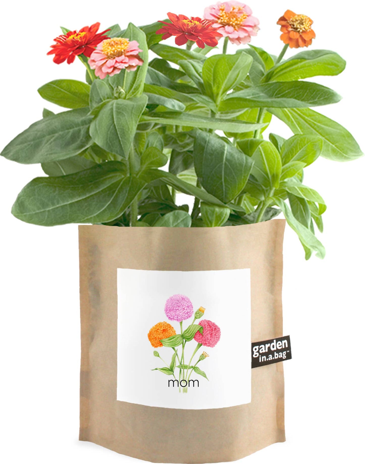 Mom Garden in a Bag