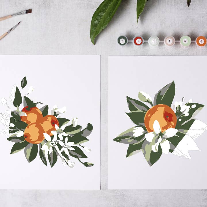 Orange Blossom Paint-By-Number Kit