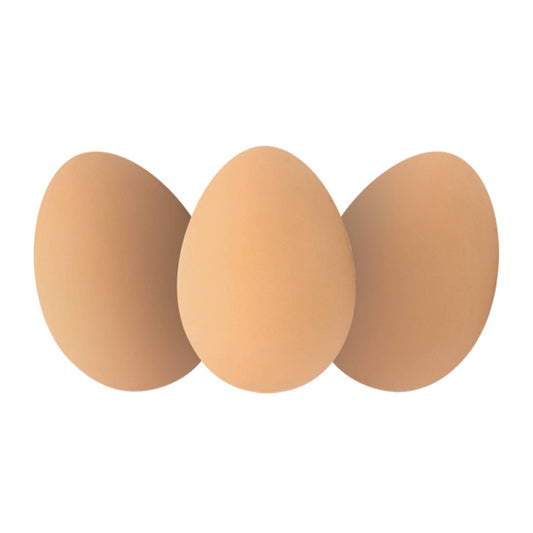 Bouncy Eggs Sensory Toy