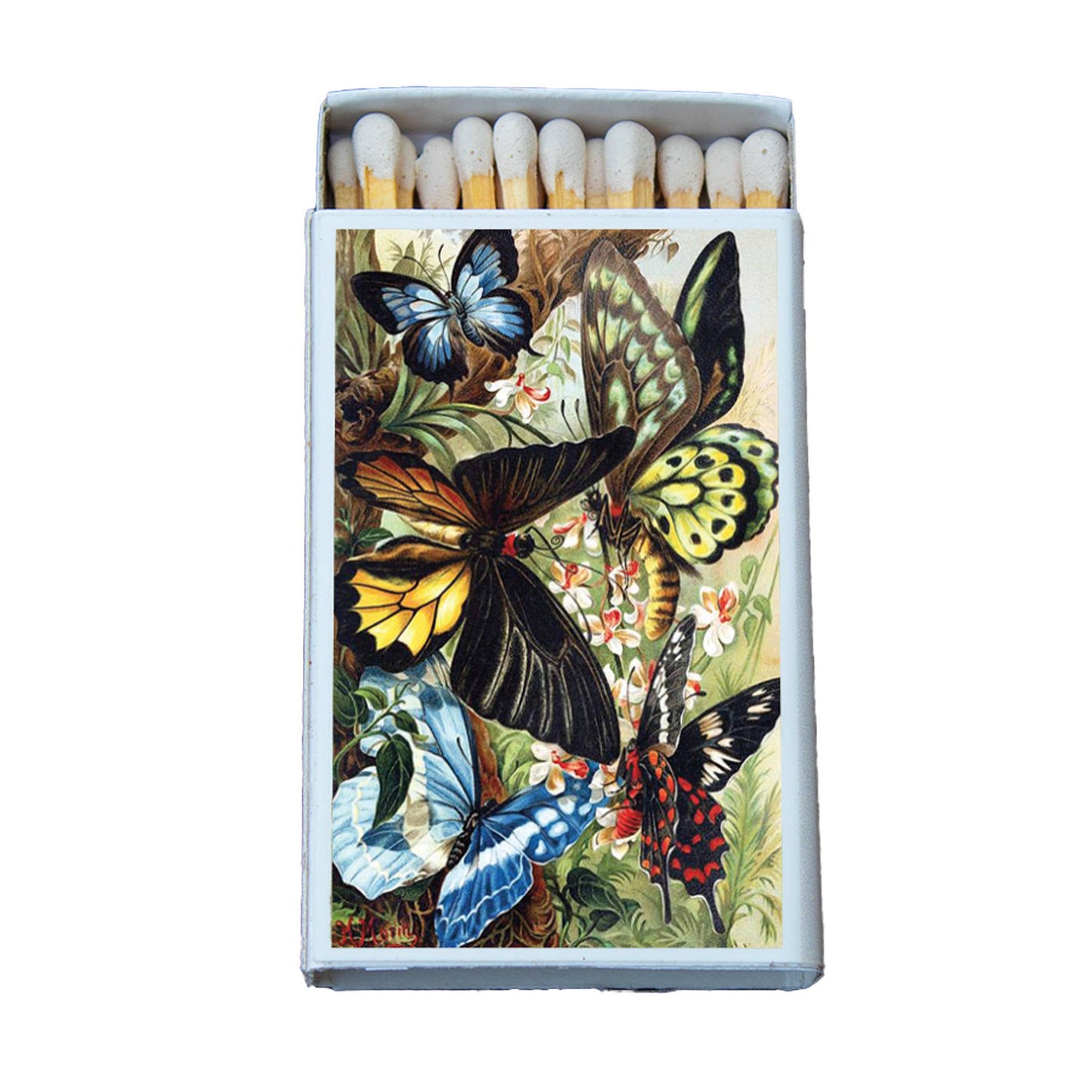 Bunches of Butterflies Matchbox