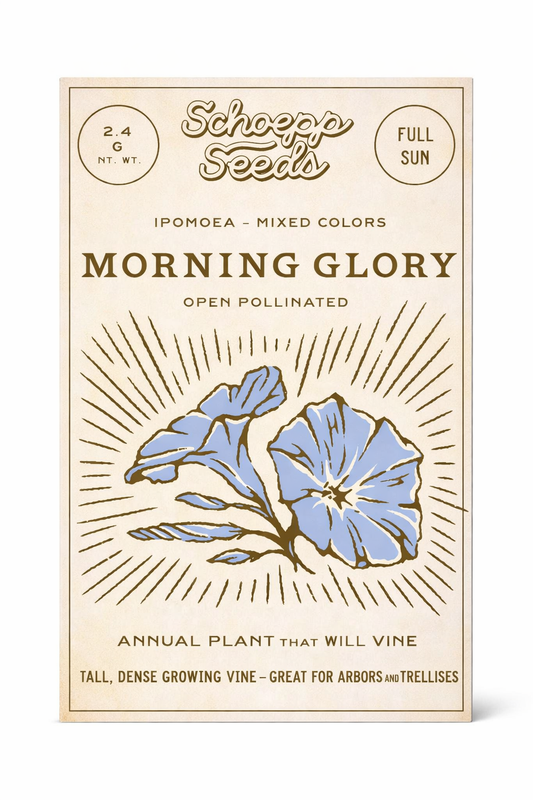 Morning Glory Heirloom Garden Seed Packets