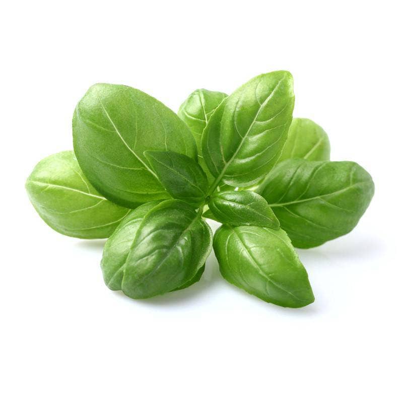 Basil Heirloom Seed Packets