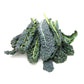 Lacinato Heirloom Garden Seed Packets