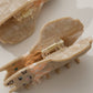 Casy Cat Claw Clip