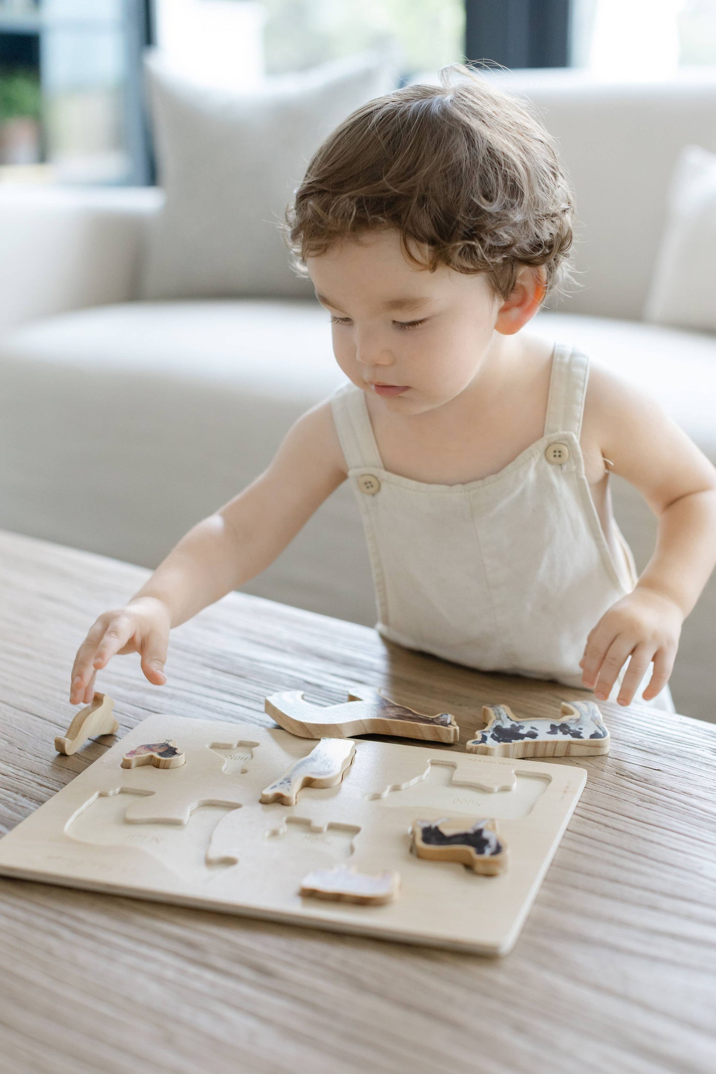 Farm Animals Wooden Puzzle