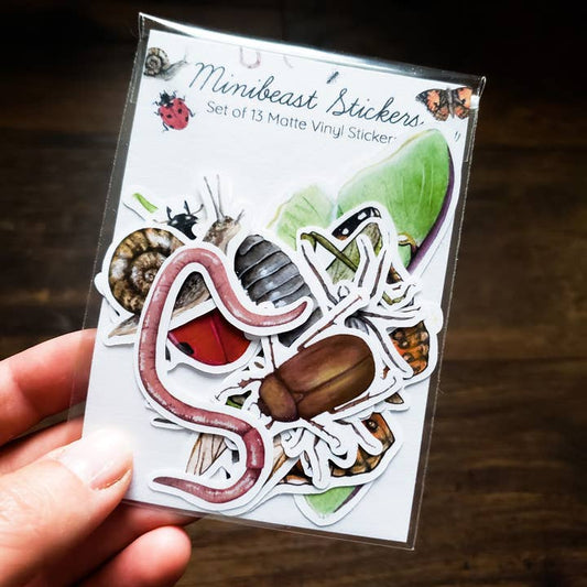 Minibeast Nature Sticker Pack