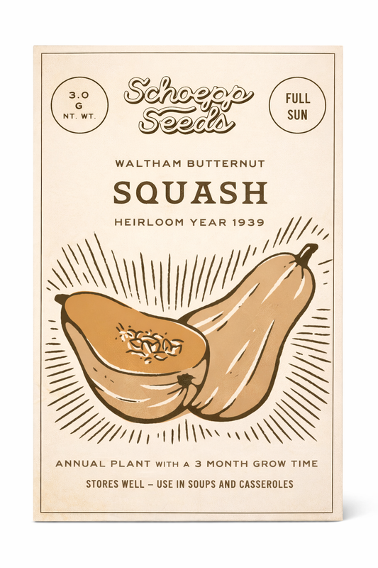 Butternut Heirloom Garden Seed Packets