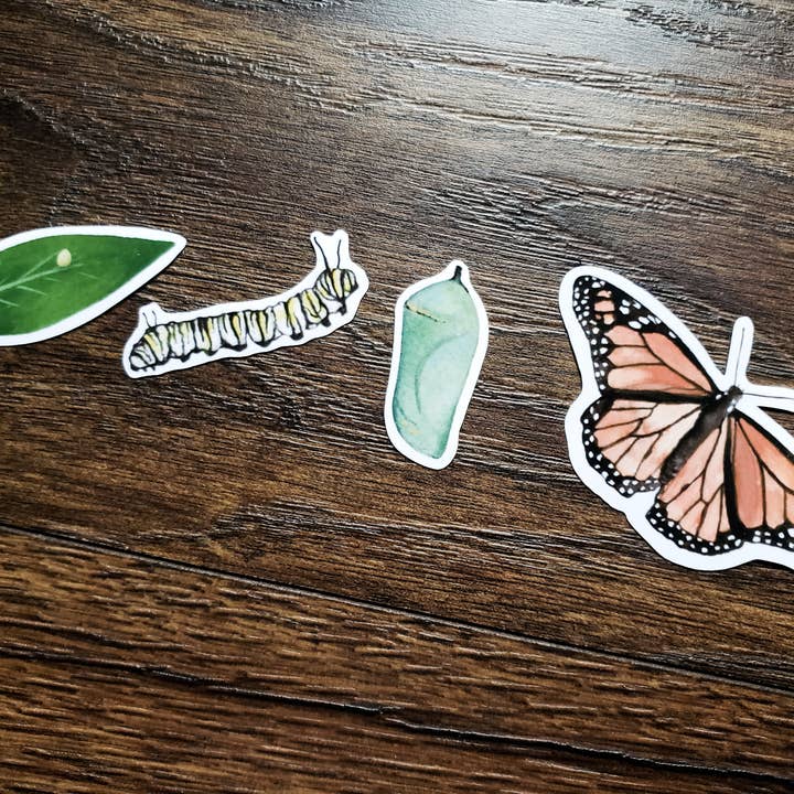 Monarch Butterfly Metamorphosis Sticker Pack
