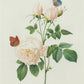 Vintage-Inspired Botanical Print - Butterfly Rose