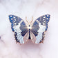 African Bluewing Butterfly Enamel Pin