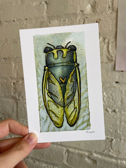 "Annual Cicada" Art Print - Megan Davies Art