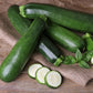Zucchini Heirloom Garden Seed Packets