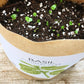 Basil Garden in a Bag