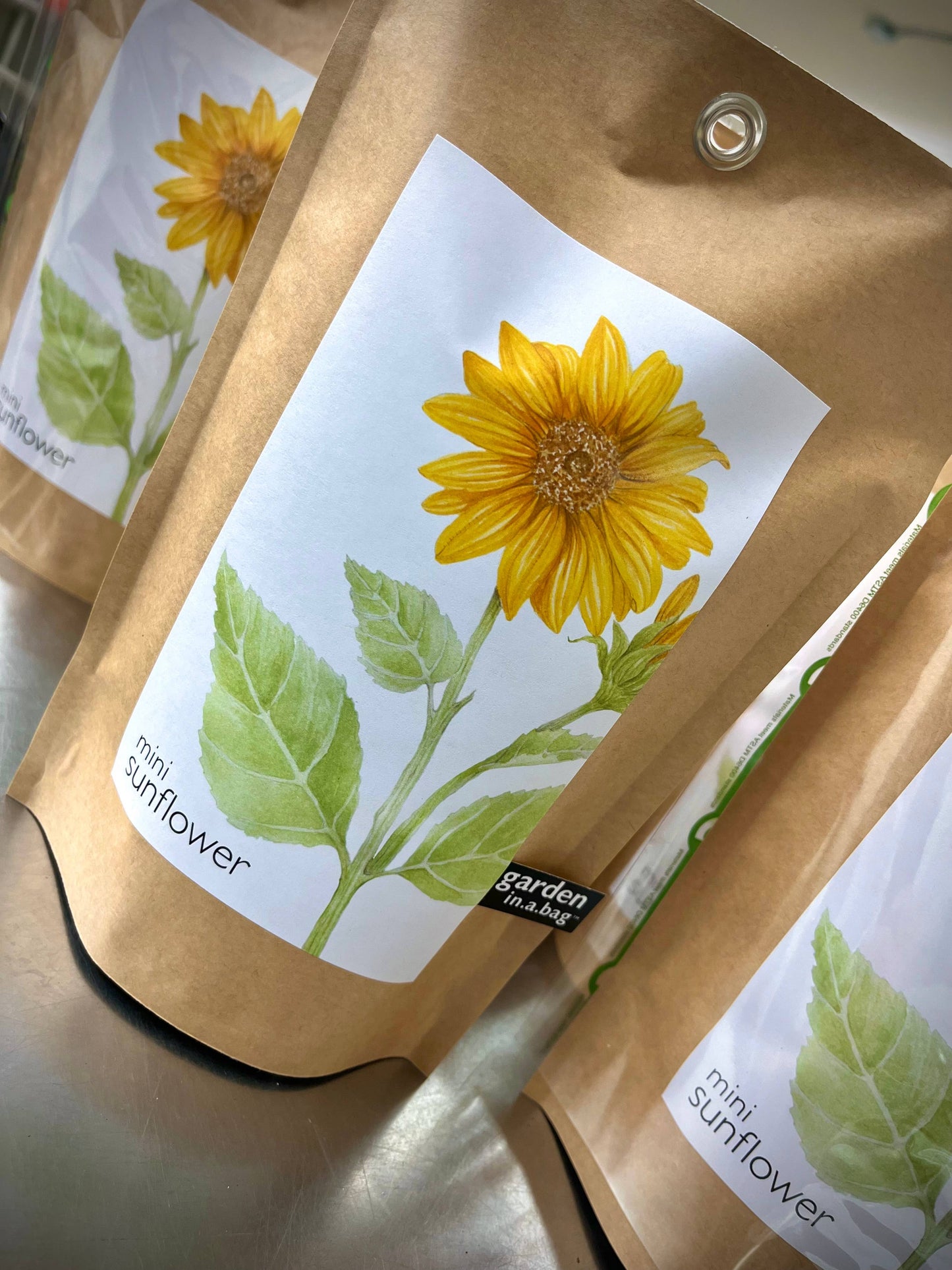 Sunflower Garden in a Bag