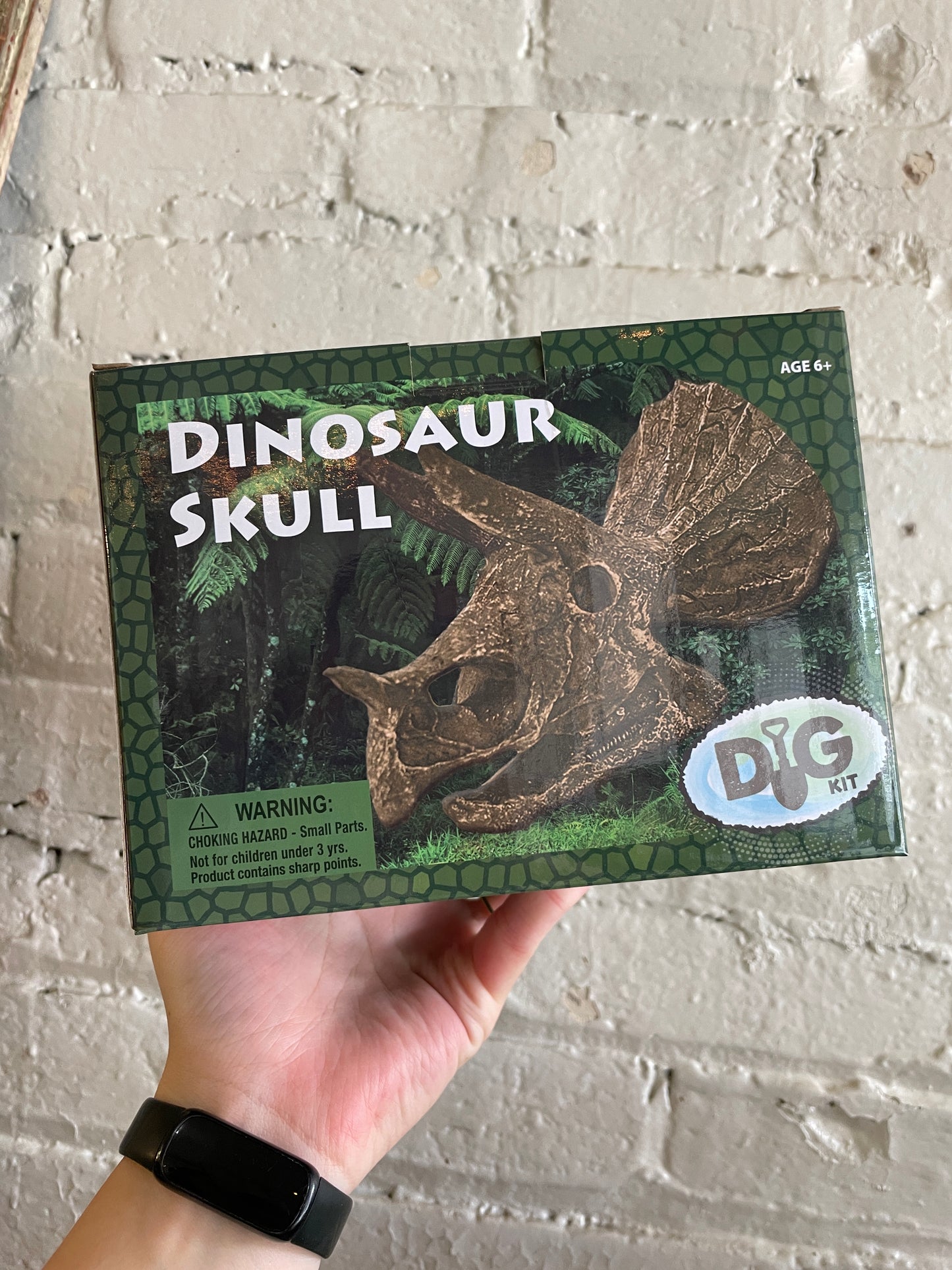 Dinosaur Skull Excavation Kit