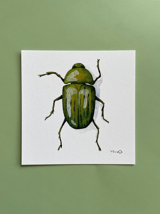 Green Beetle Square Print - Megan Davies Art