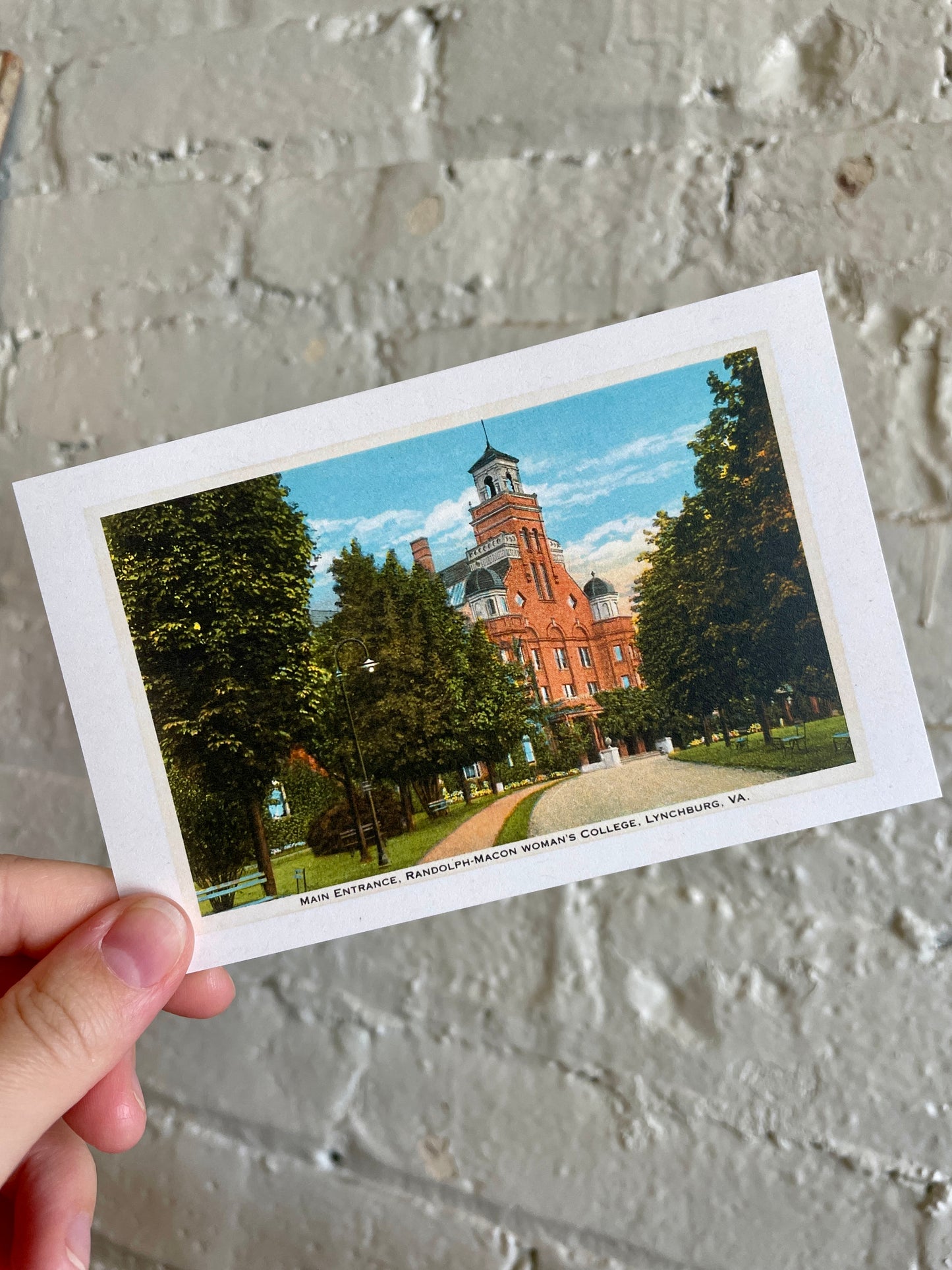 Randolph-Macon Women's College Vintage Postcard