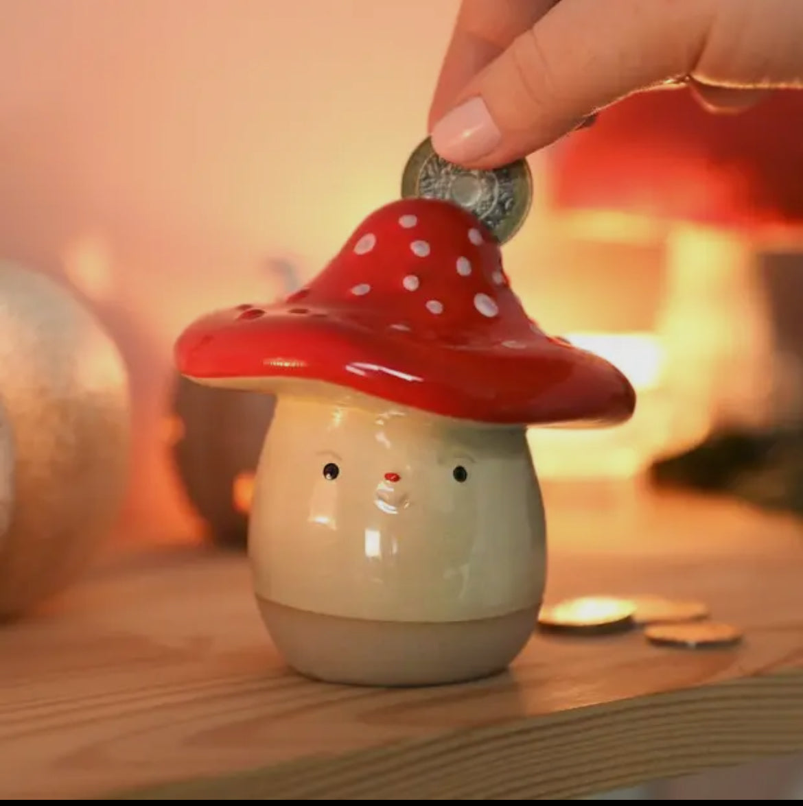 Toadstool Money Box