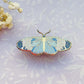 Sapho Longwing Butterfly Enamel Pin