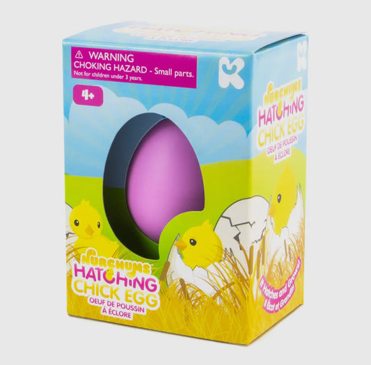 Chick Hatching Egg Toy