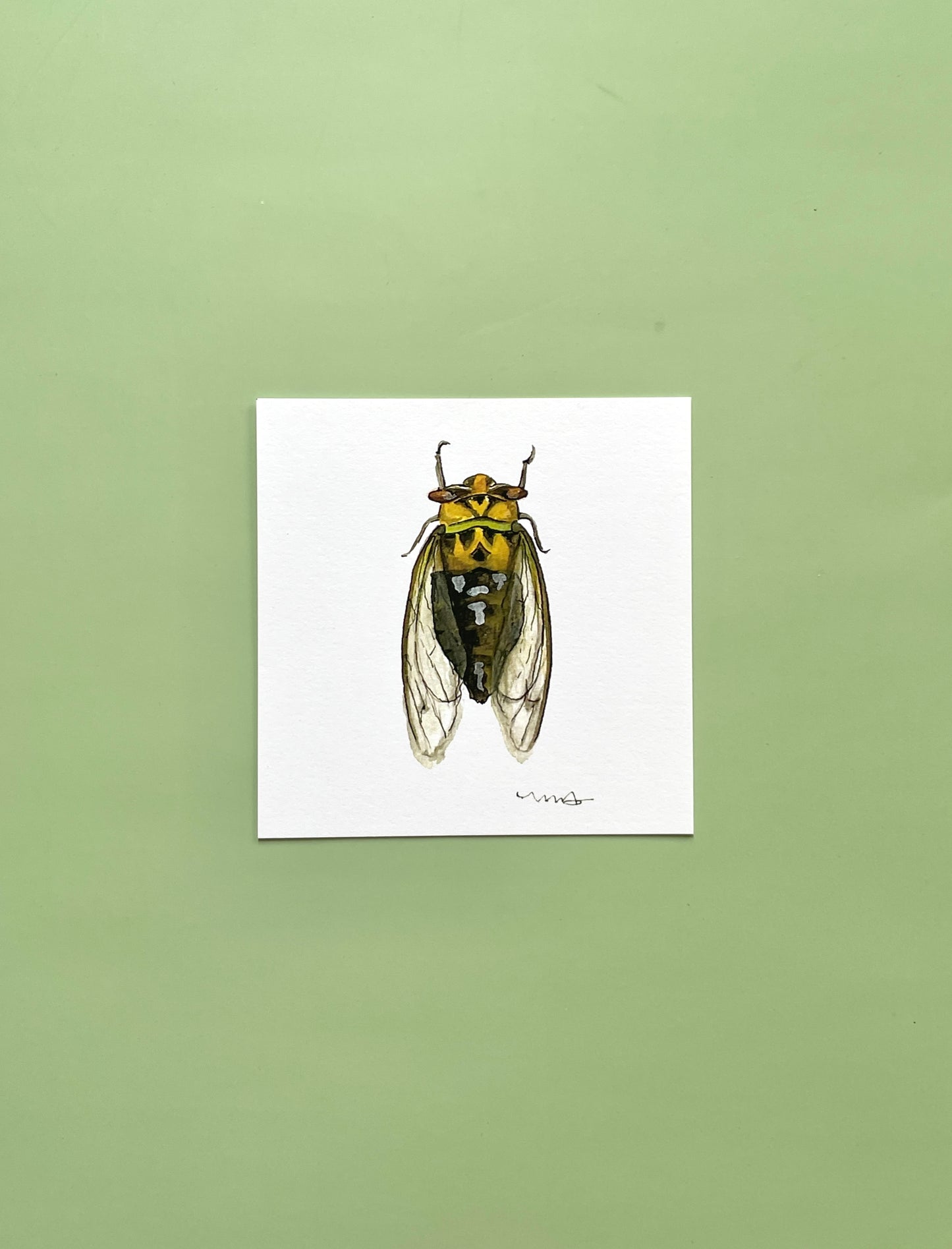 Cicada Square Print - Megan Davies Art