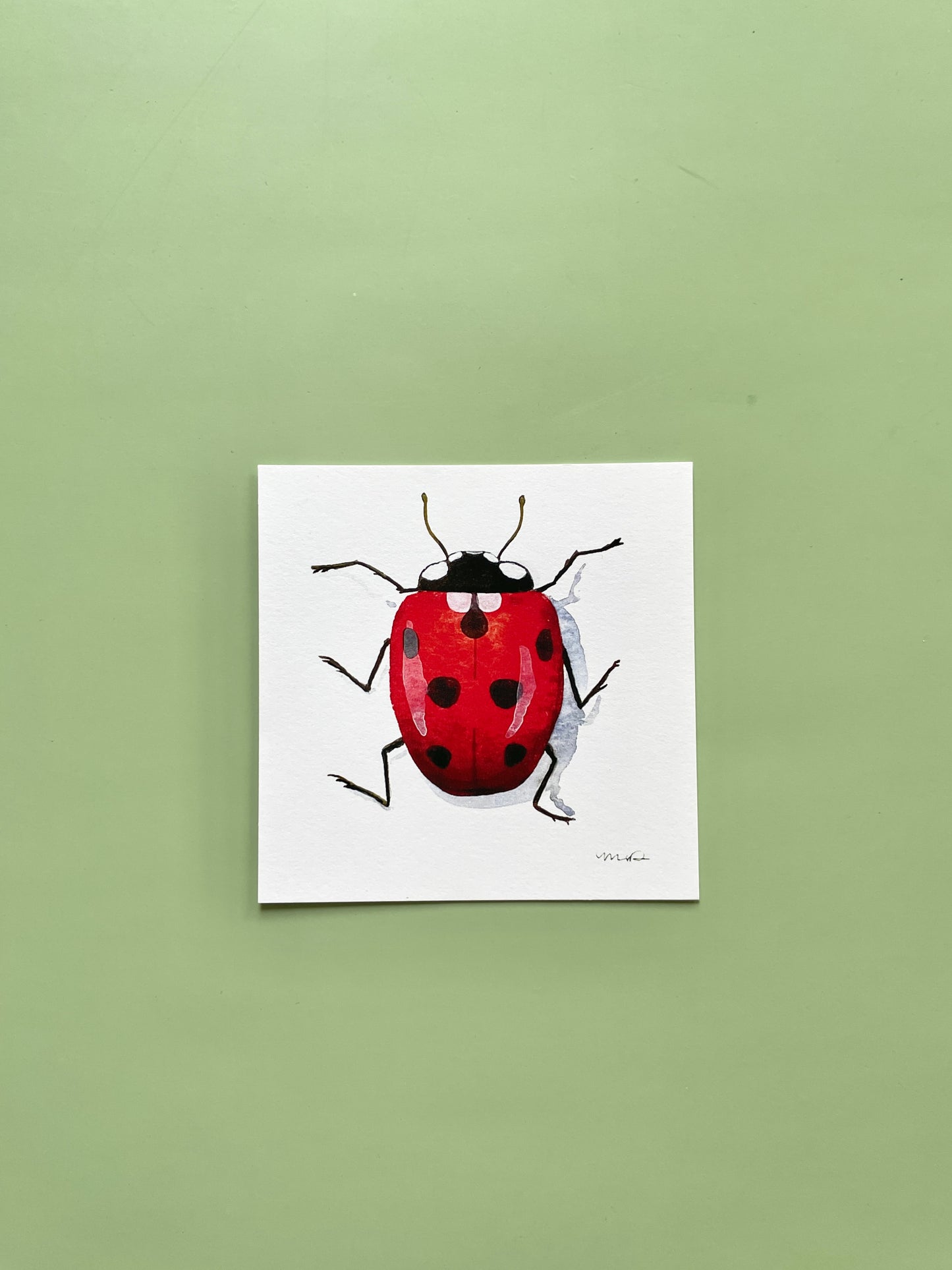 Ladybug Square Print - Megan Davies Art