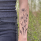 Nature Temporary Tattoos