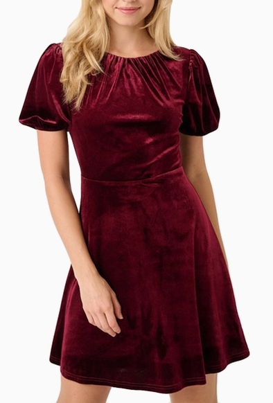 Clara Velvet Mini Dress