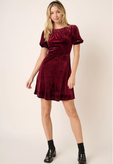 Clara Velvet Mini Dress