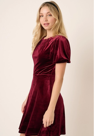 Clara Velvet Mini Dress