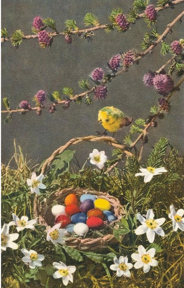 Easter Egg Hunt Vintage Postcard