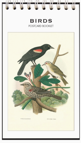 Birds Vintage Postcard Booklet