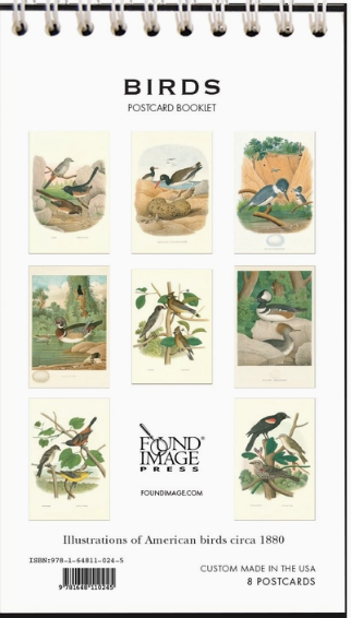 Birds Vintage Postcard Booklet