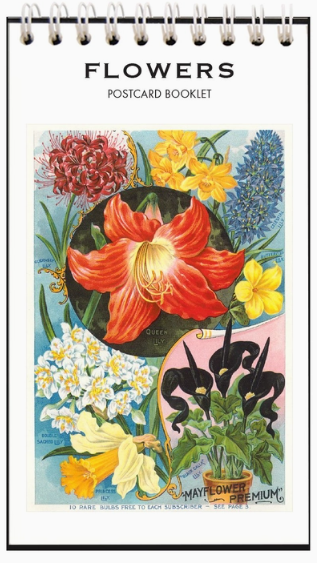 Flowers Vintage Postcard Booklet