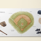 Our Big Book of Sports
