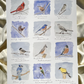"For the Birds" Virginia Birds Print - Glasswater Art Co.