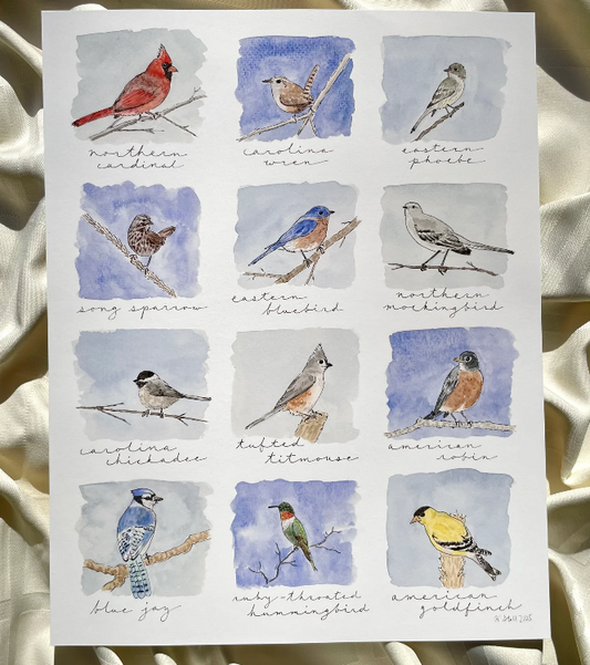 "For the Birds" Virginia Birds Print - Glasswater Art Co.